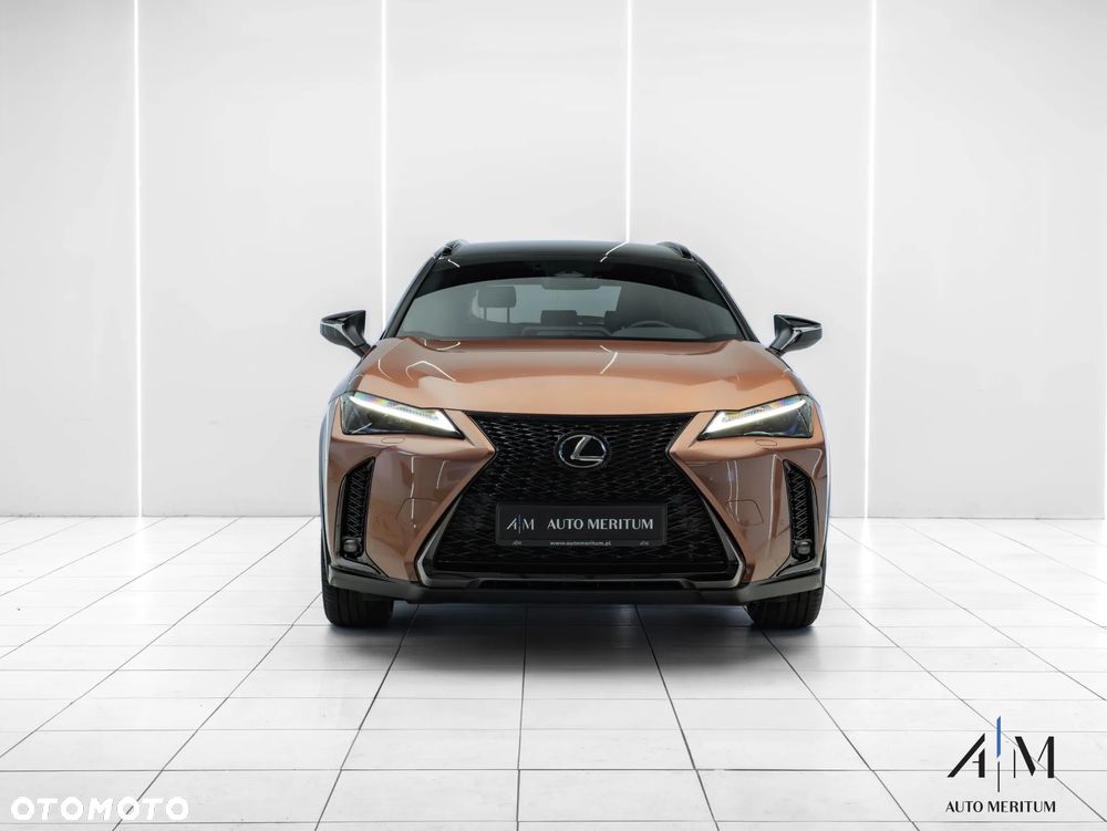 Lexus UX 300h F Sport Design AWD - 2
