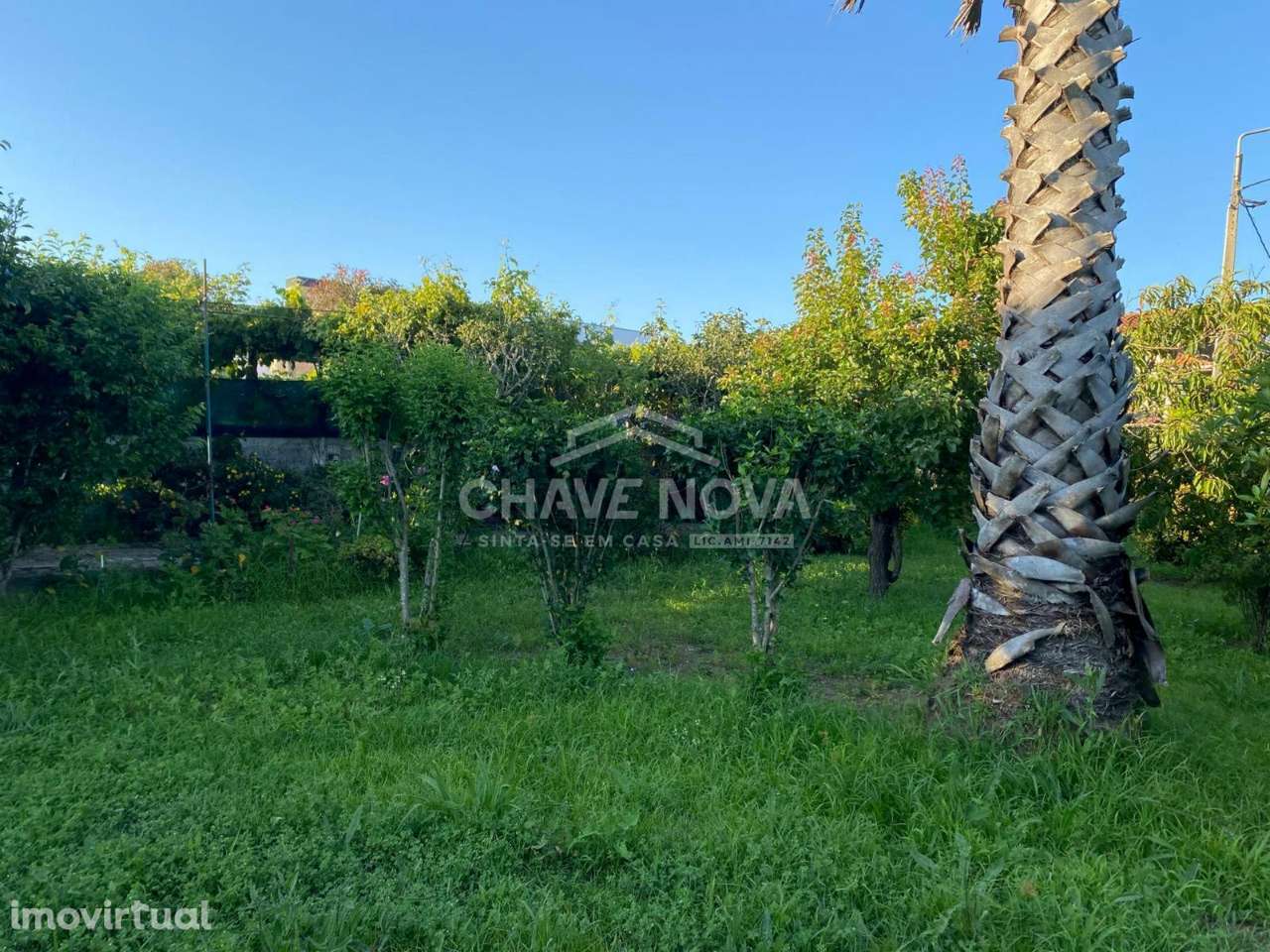 Terreno na Madalena com 1000m² murado - Grande imagem: 3/16