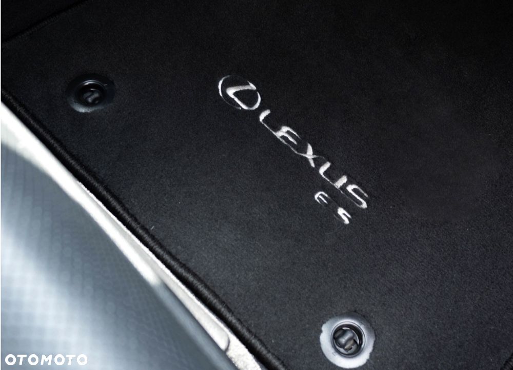 Lexus ES 300h Business Edition - 6