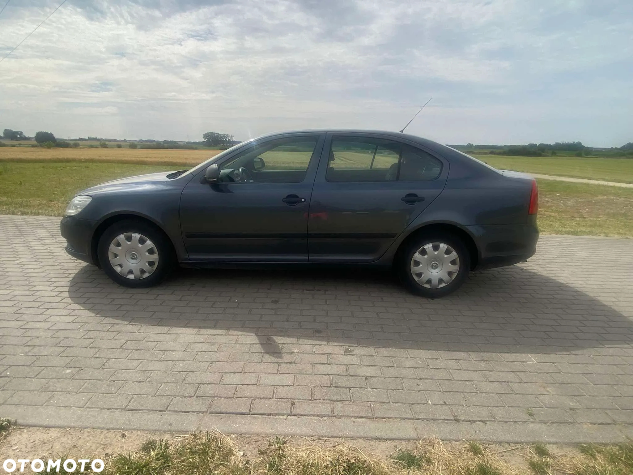 Skoda Octavia 1.9 TDI Mint - 5