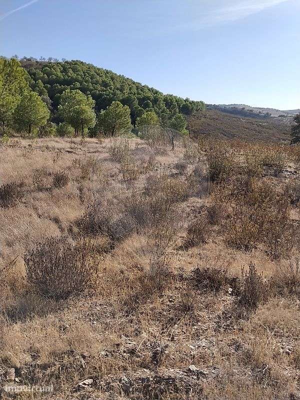 Terreno  para venda