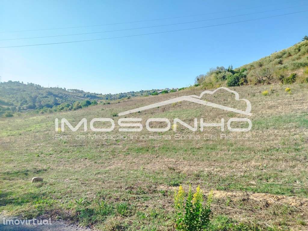 Terreno para construção a poucos minutos de Leiria - Grande imagem: 5/8