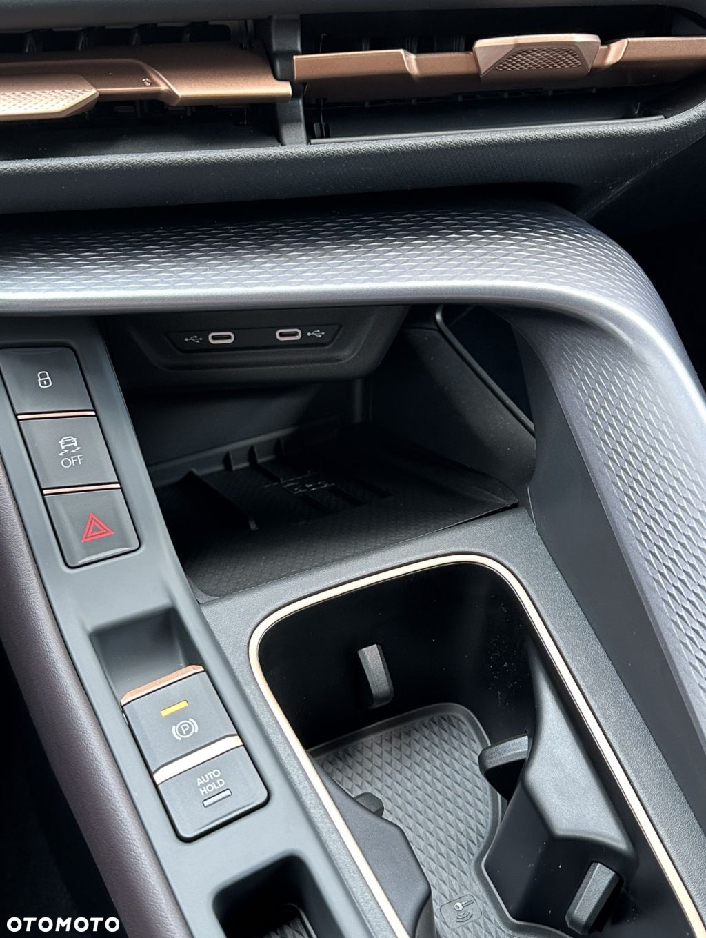 Cupra Terramar - 24
