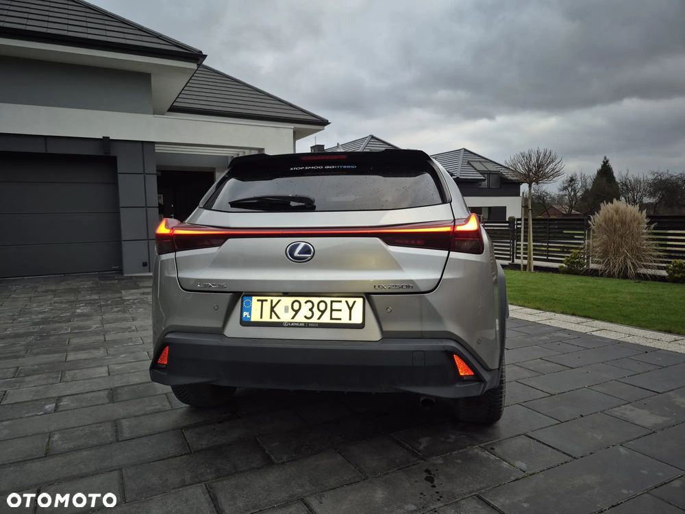 Lexus UX 250h GPF Business Edition 2WD - 6