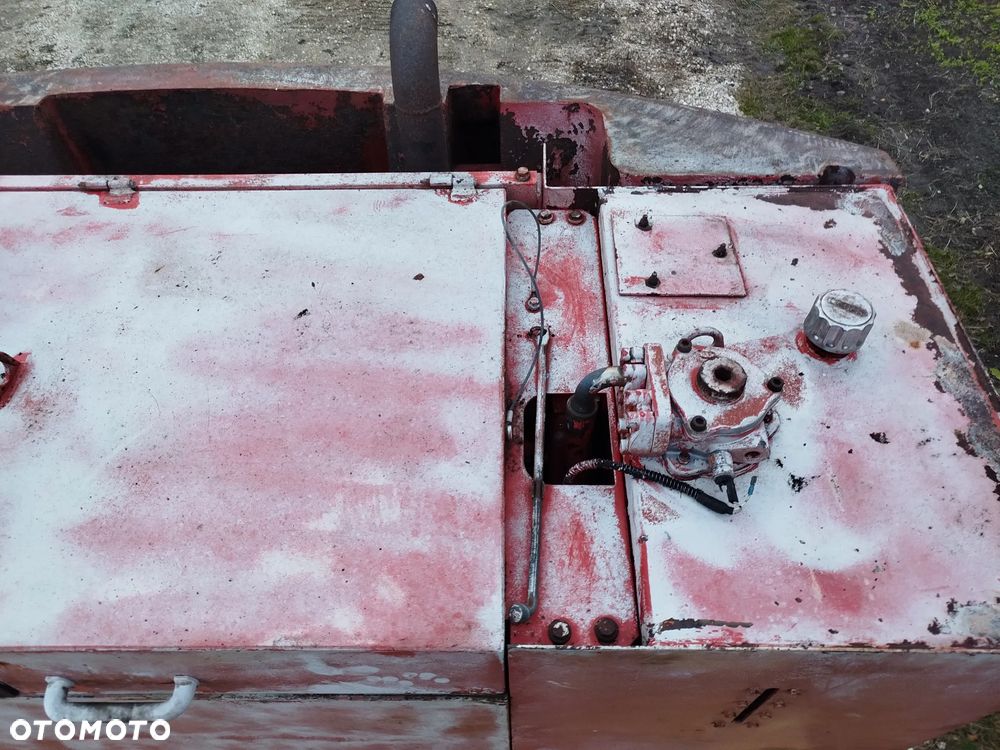 Case 61 błotniak - 10