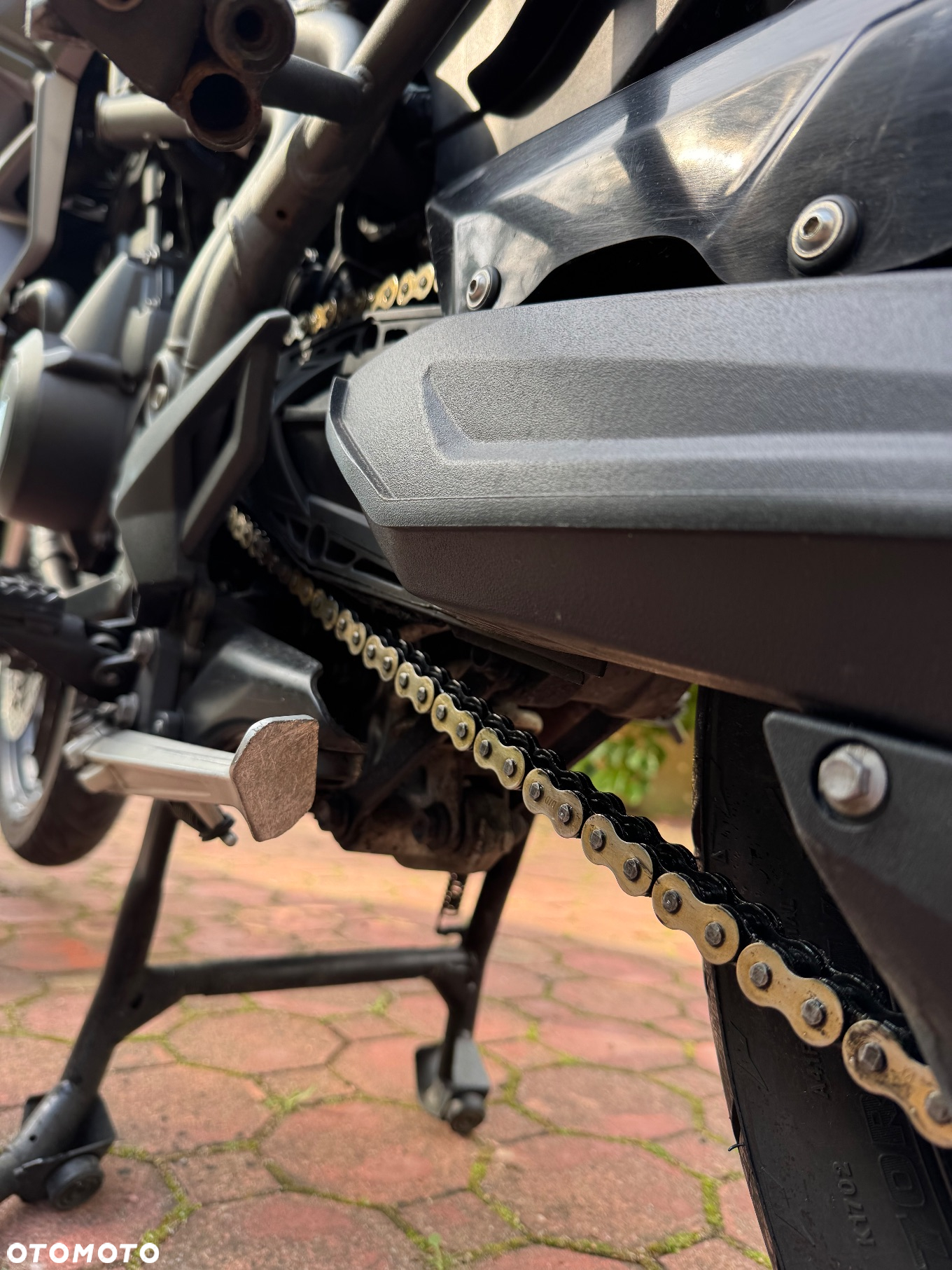 Triumph Tiger - 8
