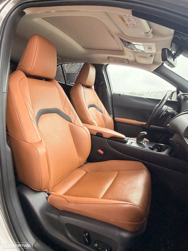 Lexus UX 300e - 6