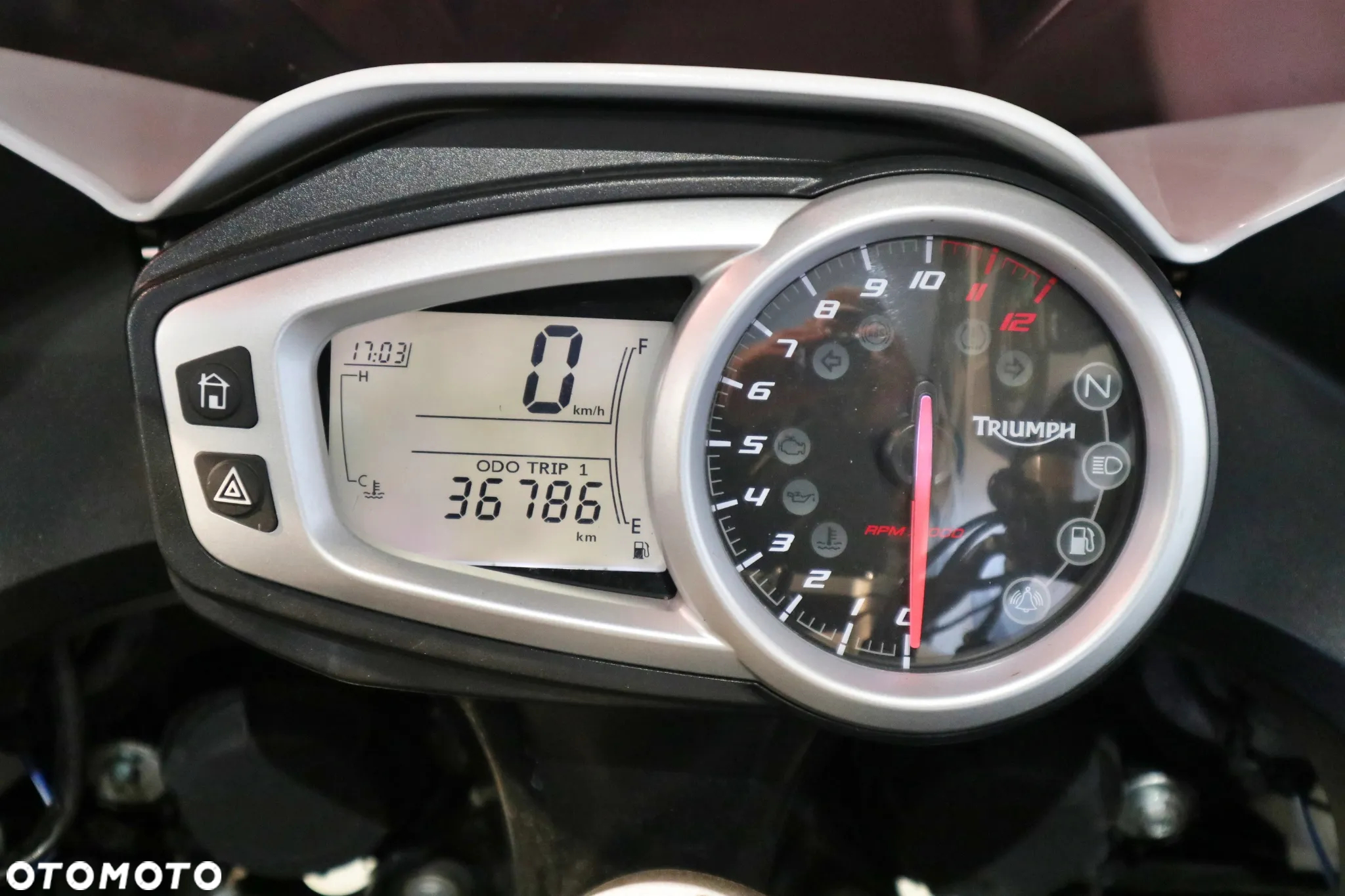 Triumph Tiger - 12