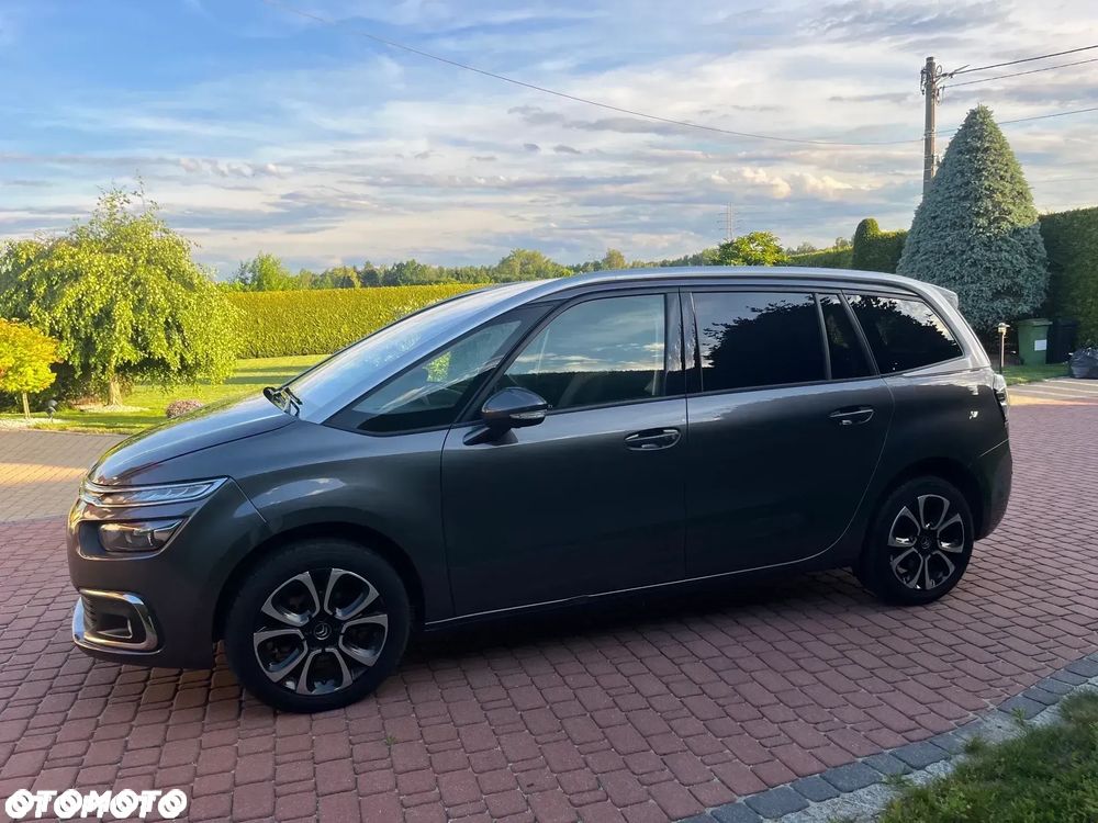 Citroen C4 Spacetourer 2019 photo 4
