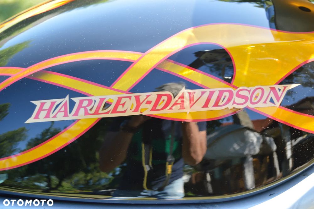 Harley-Davidson V-Rod Street Rod - 5