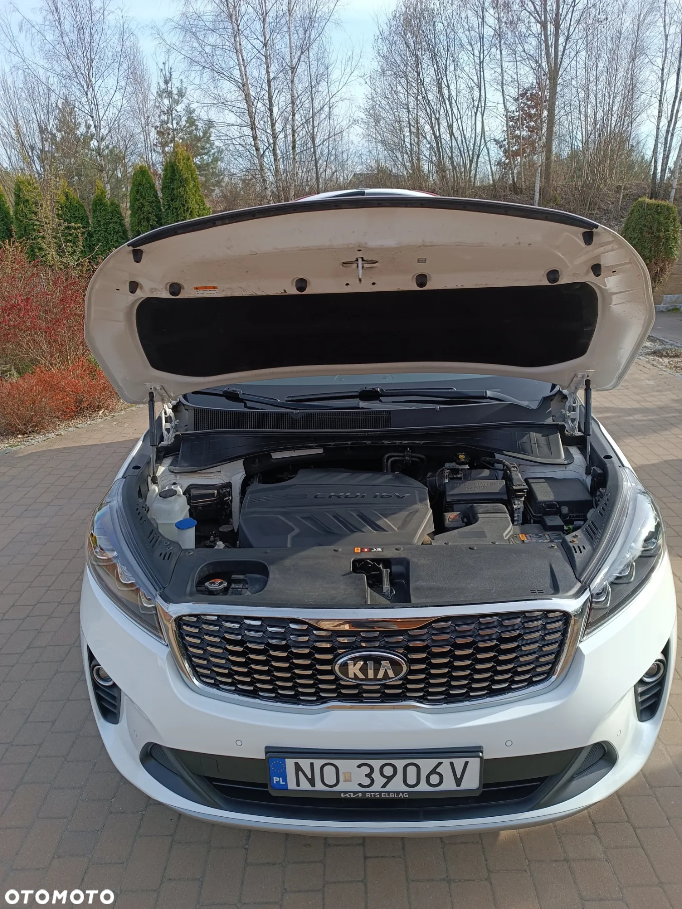 Kia Sorento 2.0 CRDI L - 17