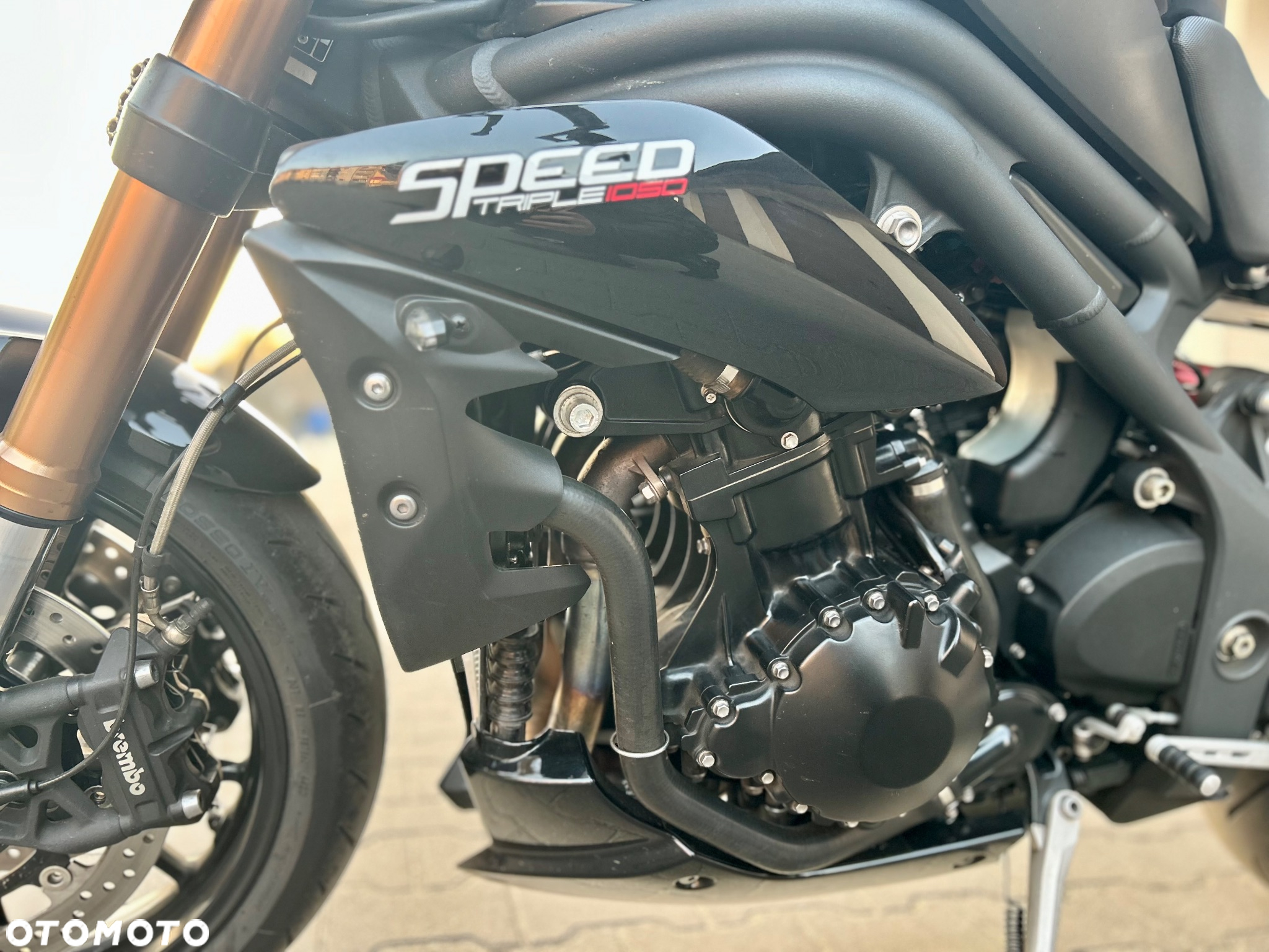 Triumph Speed Triple - 21
