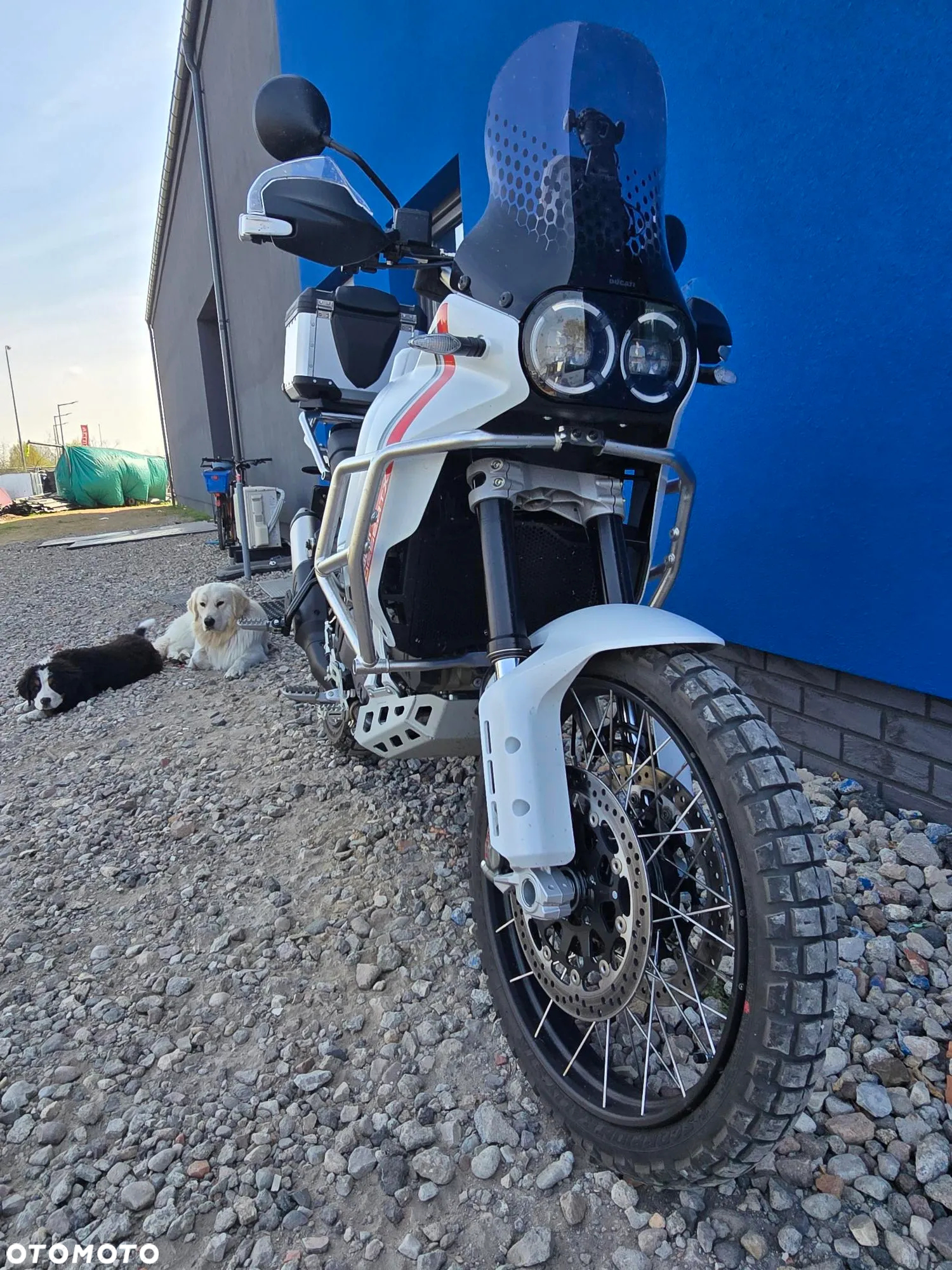 Ducati DesertX