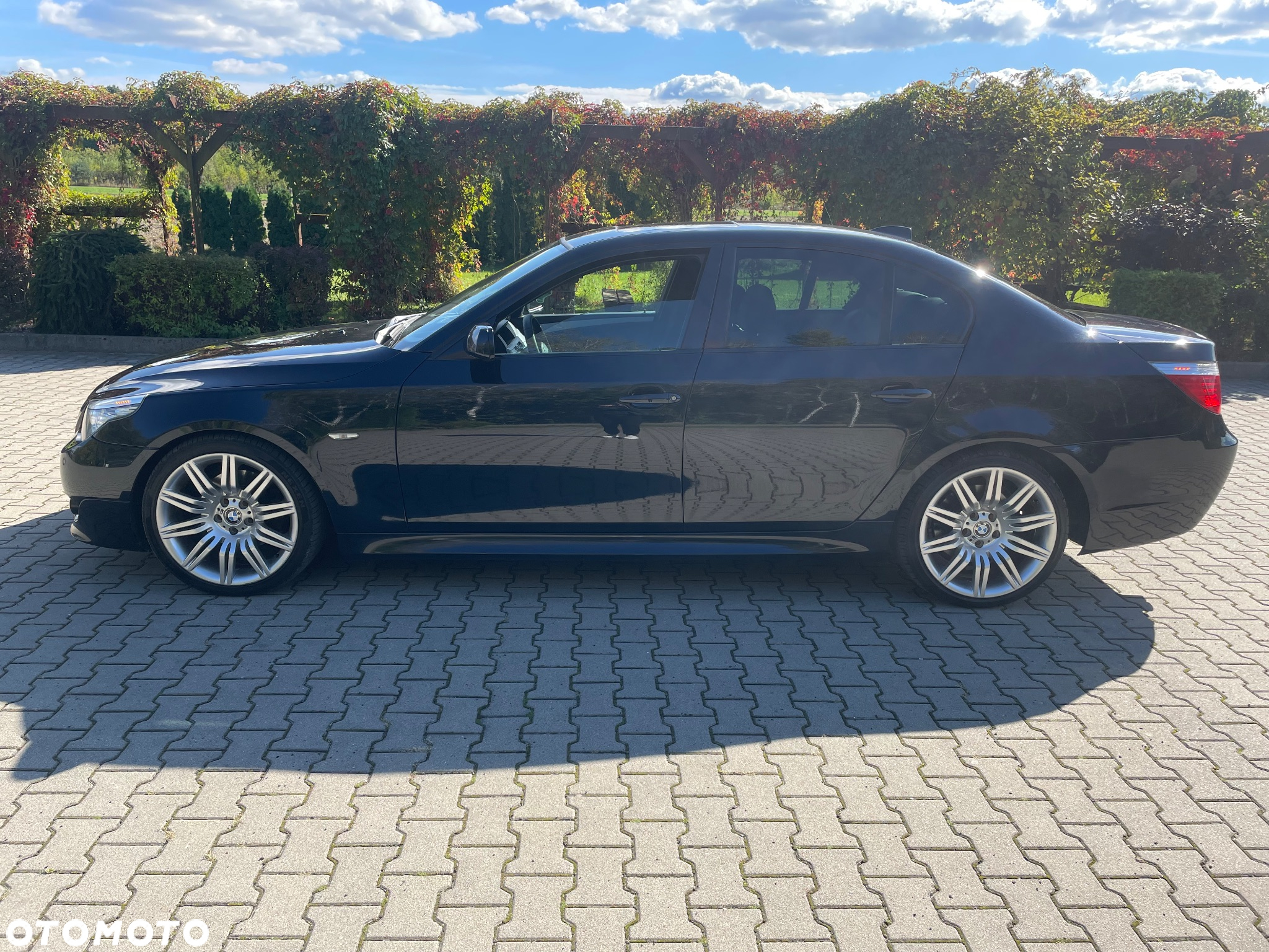 BMW Seria 5 - 16