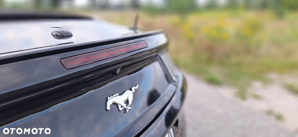 Ford Mustang Cabrio 2.3 Eco Boost - 14