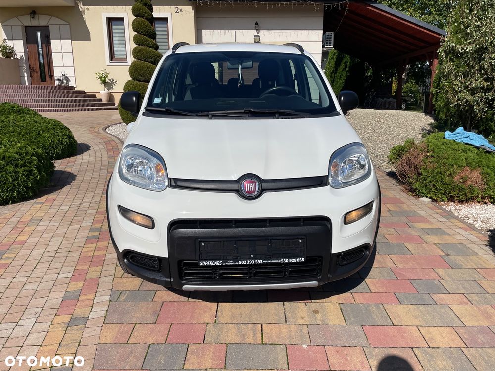 Fiat Panda - 2