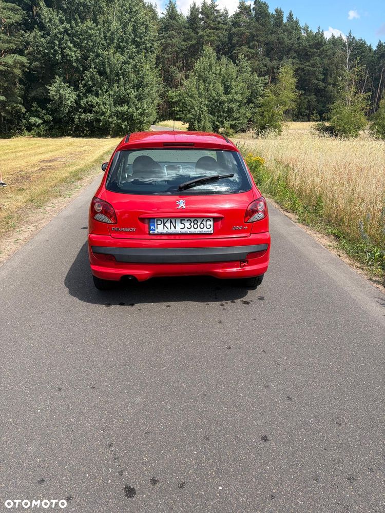 Peugeot 206 plus - 5