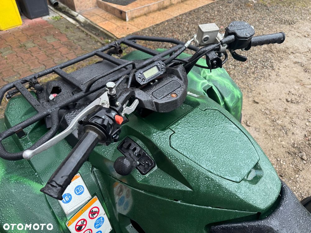 Yamaha Grizzly - 11