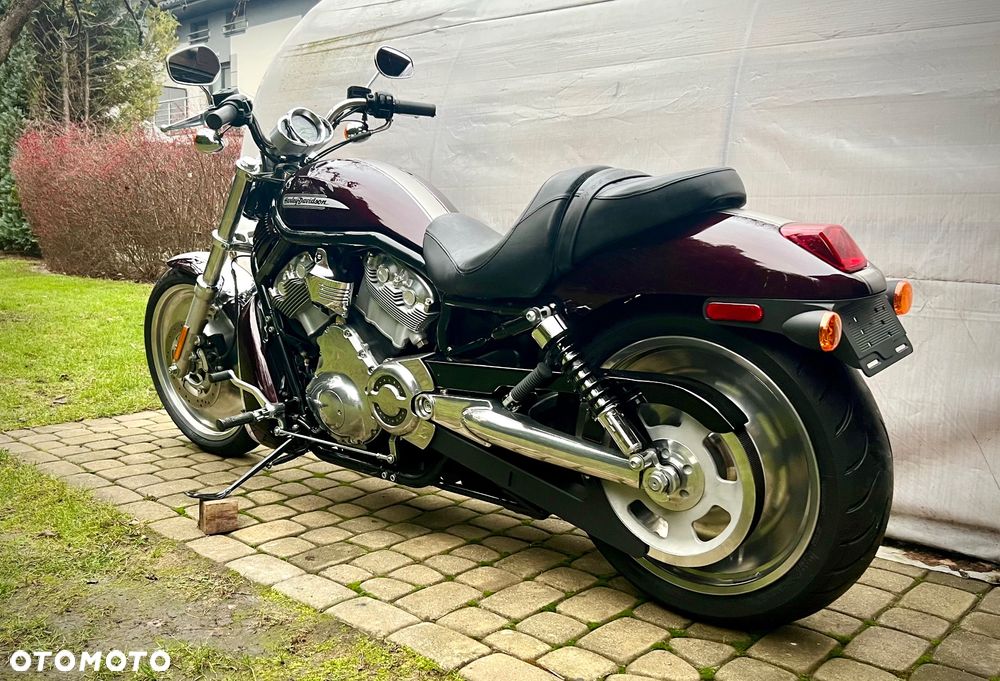 Harley-Davidson V-Rod Street Rod - 5