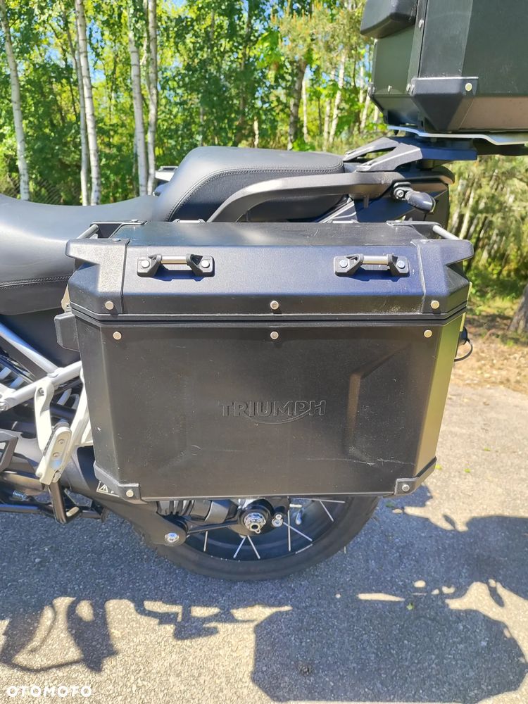 Triumph Tiger - 19