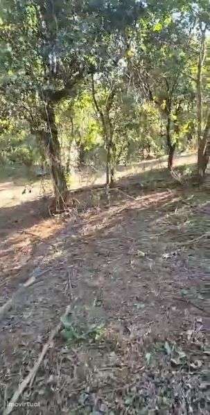 Terreno com casa em ruinas - Grande imagem: 3/4