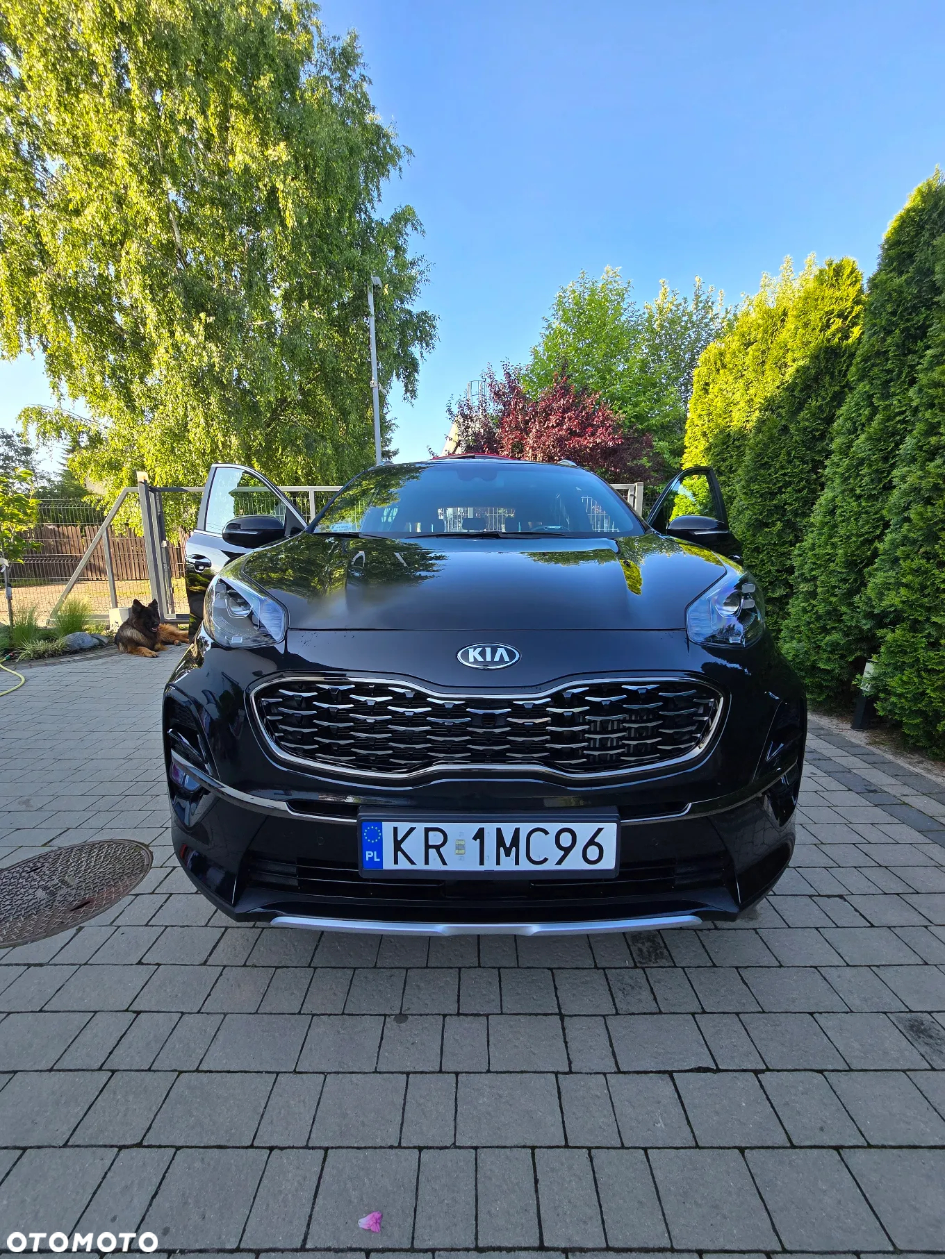 Kia Sportage 2.0 CRDI GT Line 4WD - 21