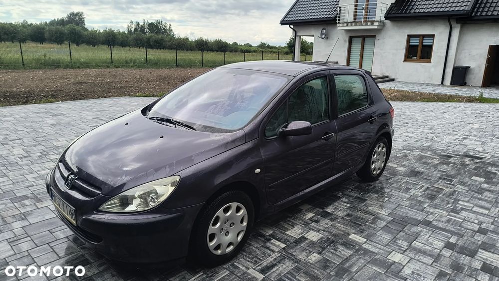 Peugeot 307 1.6 - 6