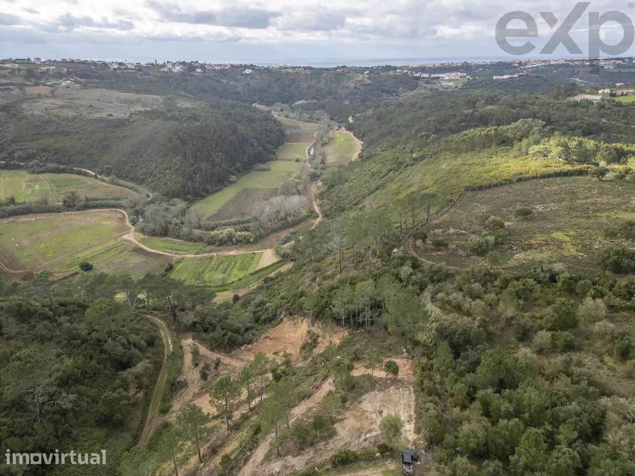 Vale da Pia - Montesouros - Grande imagem: 2/11