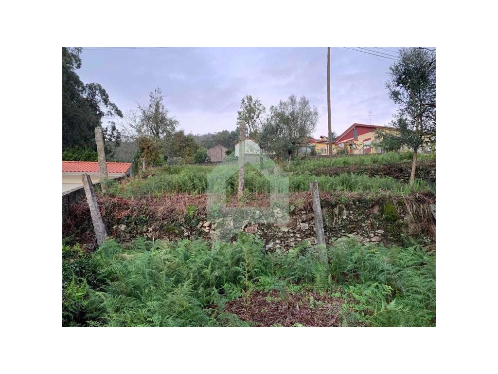 Terreno de construção em Mariz Barcelos - Grande imagem: 3/6