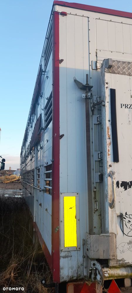 Zorzi 36s 136/19 LA - 25