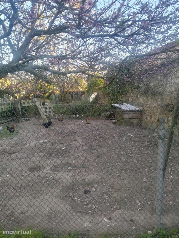 Terreno Para Construção  Venda em Touguinha e Touguinhó,Vila do Conde - Grande imagem: 4/4