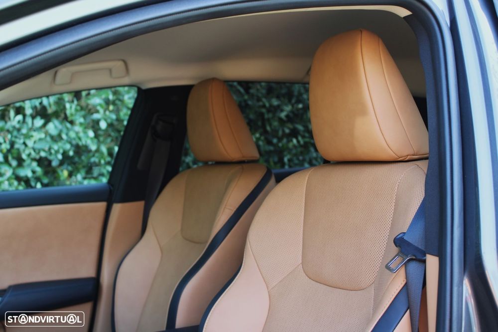 Lexus rz-300e Premium - 21