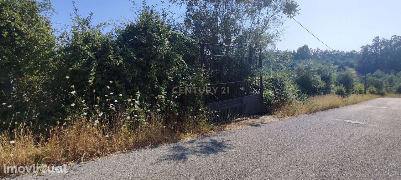 Terreno à venda em Coimbra, São Martinho do Bispo - Grande imagem: 2/10
