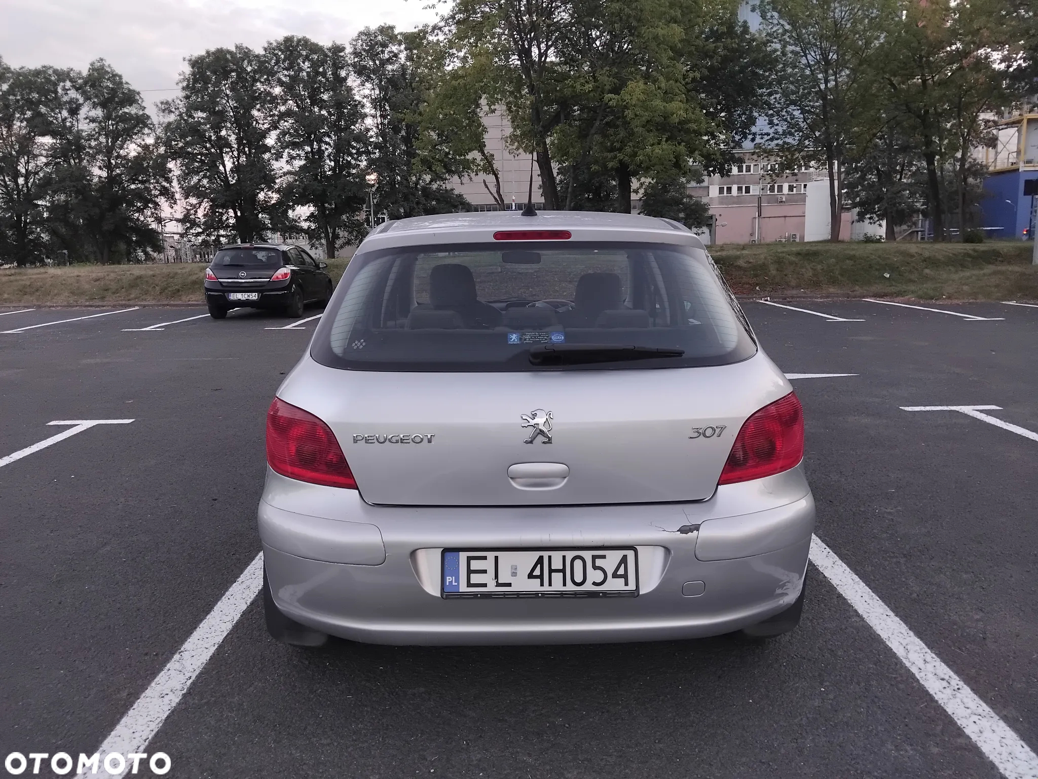 Peugeot 307 1.6 - 9