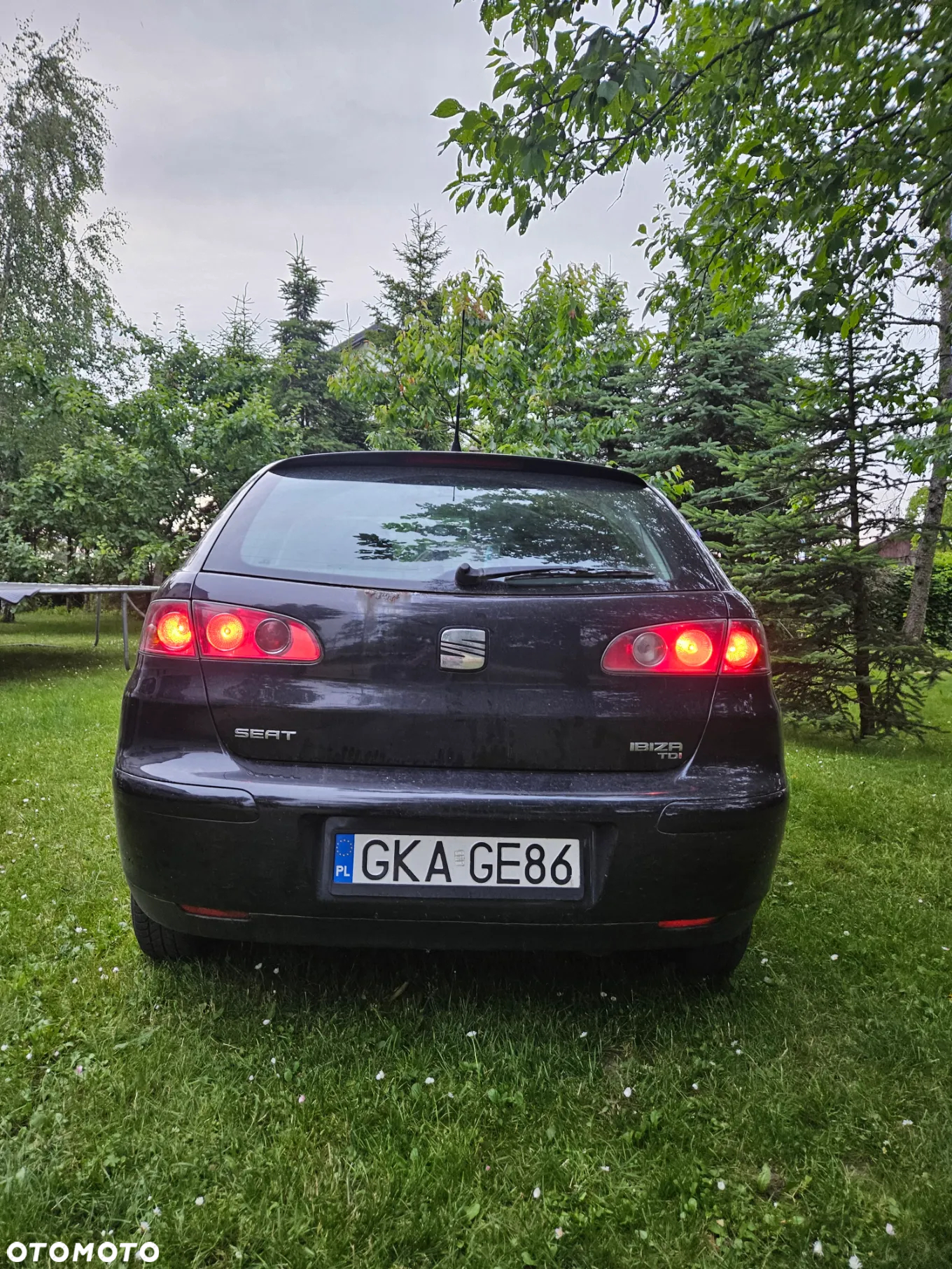 Seat Ibiza 1.9 TDI Stella - 2