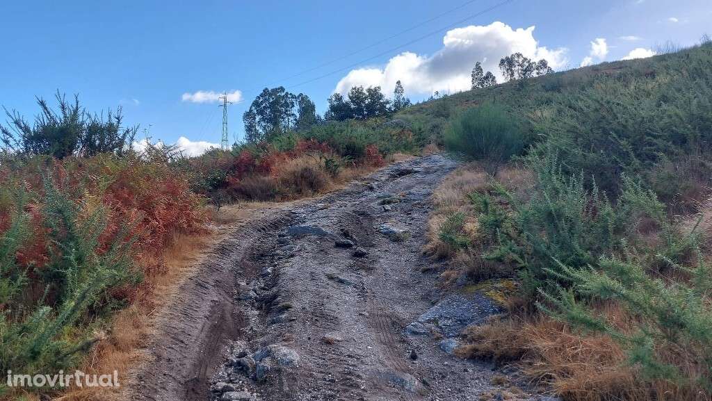 Bouça - Sequeiros - Grande imagem: 3/13