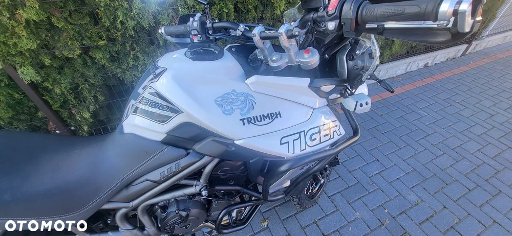 Triumph Tiger - 9