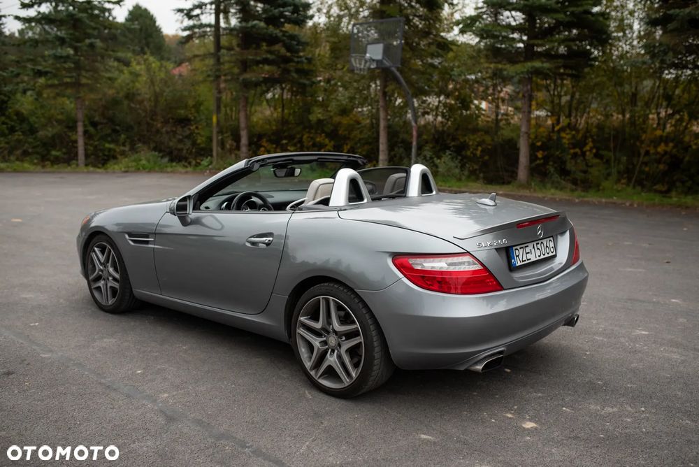 Mercedes-Benz SLK 250 (BlueEFFICIENCY) 7G-TRONIC - 15