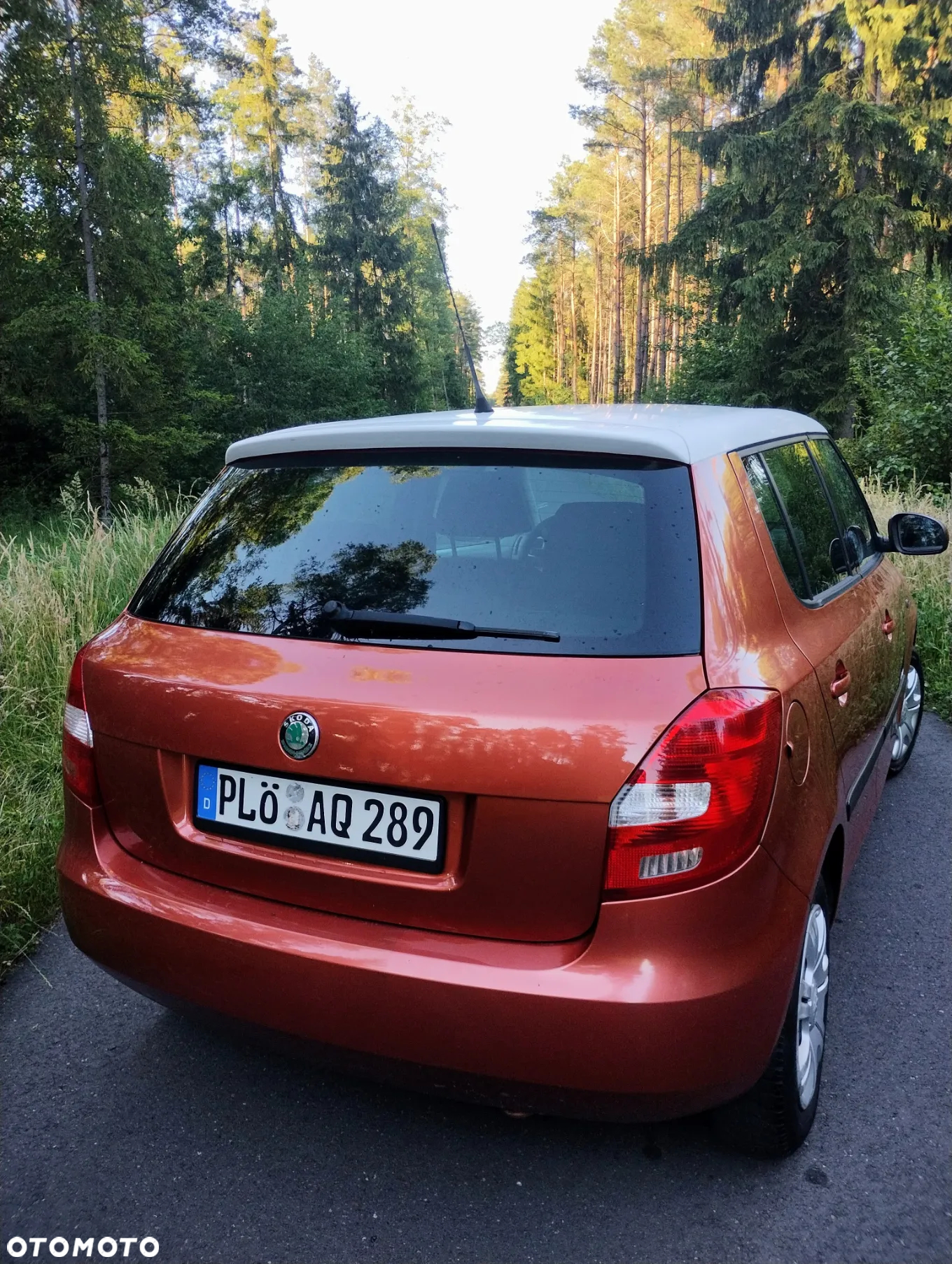 Skoda Fabia - 4