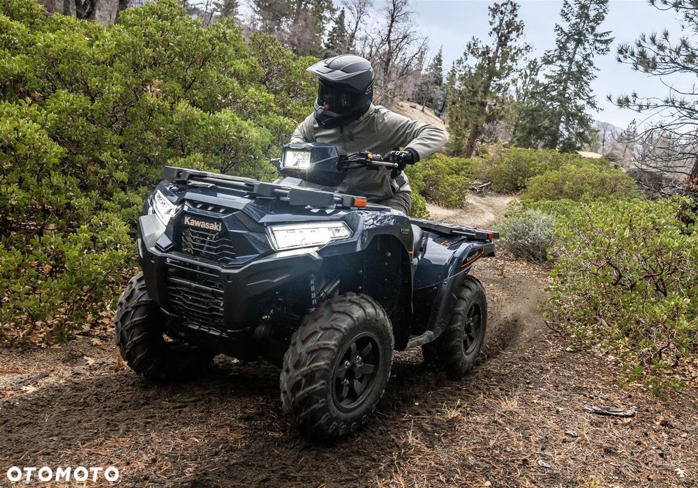 Kawasaki Brute Force - 9