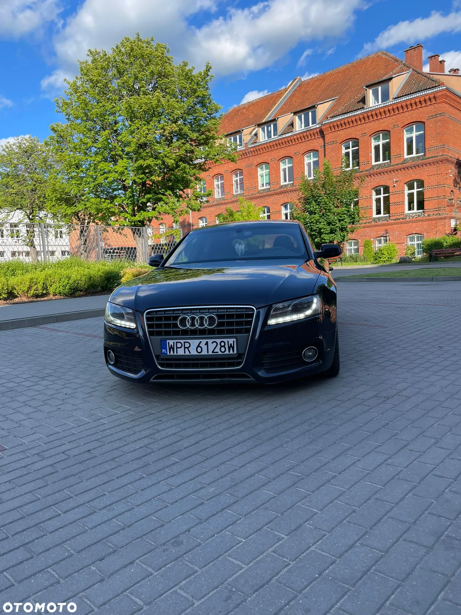 Audi A5 2.0 TDI Multitronic - 18