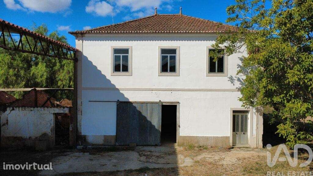 Quinta T3 em Torres Novas (Santa Maria, Salvador e Santiago) de 244 m2 - Grande imagem: 5/40