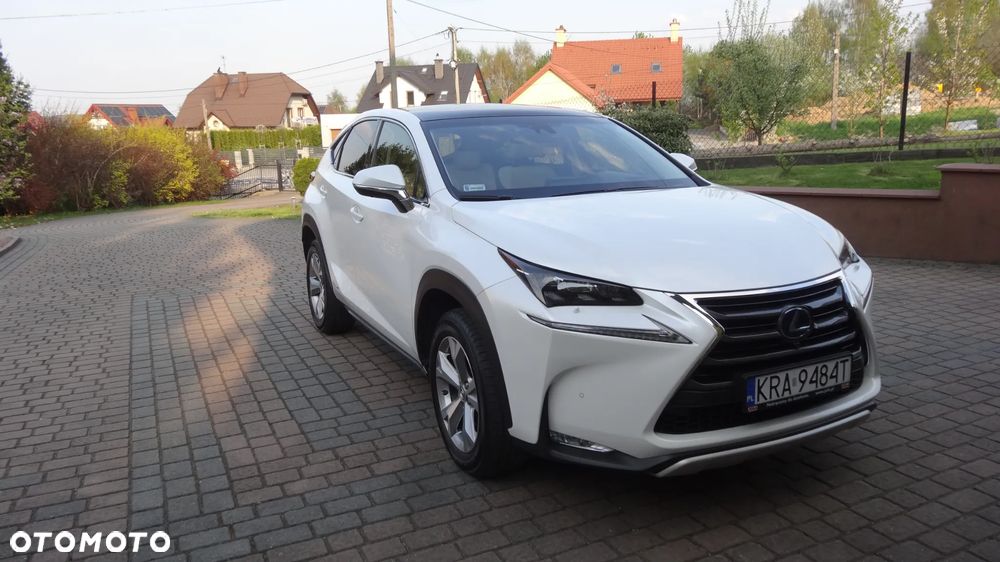 Lexus NX 300h Prestige AWD - 7