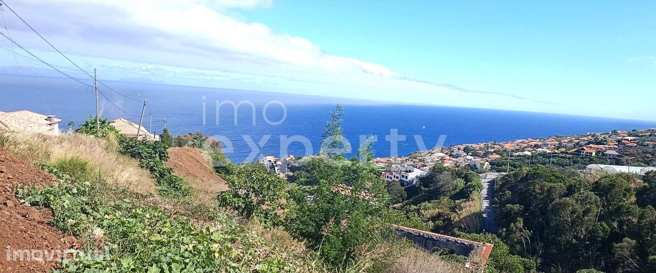 Terreno com vistas em Gaula com 7.670m2 - Grande imagem: 2/8