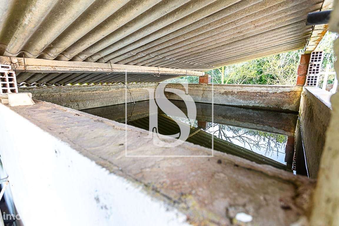 Moradia Arroio - Grande imagem: 3/22