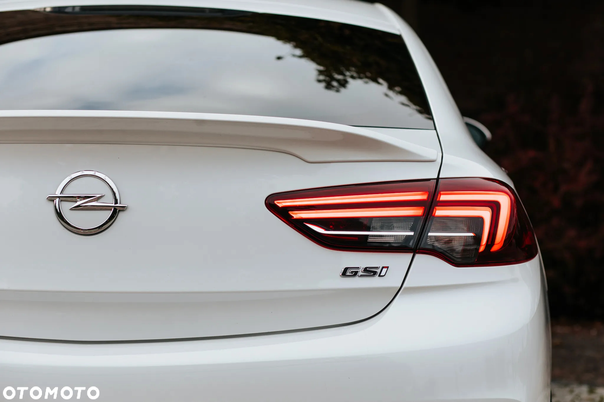 Opel Insignia 2.0 CDTI 4x4 GSi S&S - 14