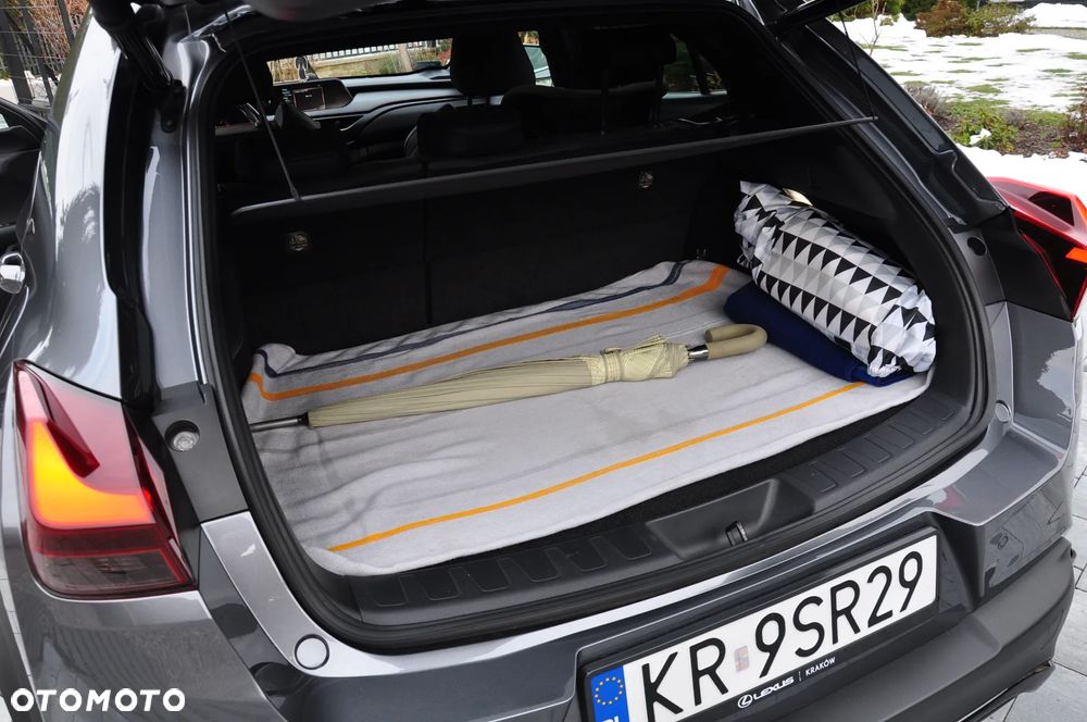 Lexus UX 200 GPF F Sport Design+ 2WD - 33