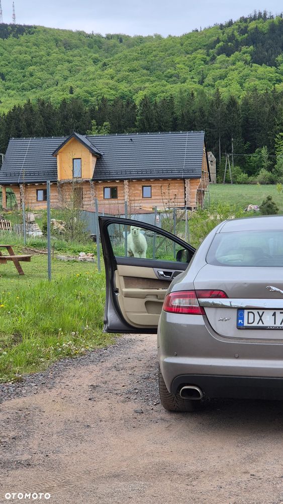 Jaguar XF 2.7 V6 D Luxury - 8