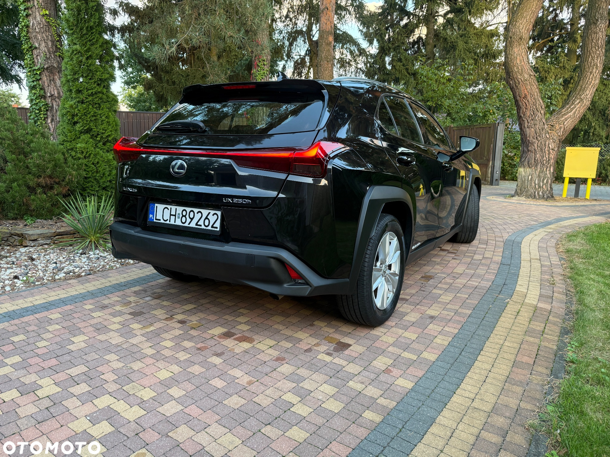 Lexus UX 250h Business Edition - 5