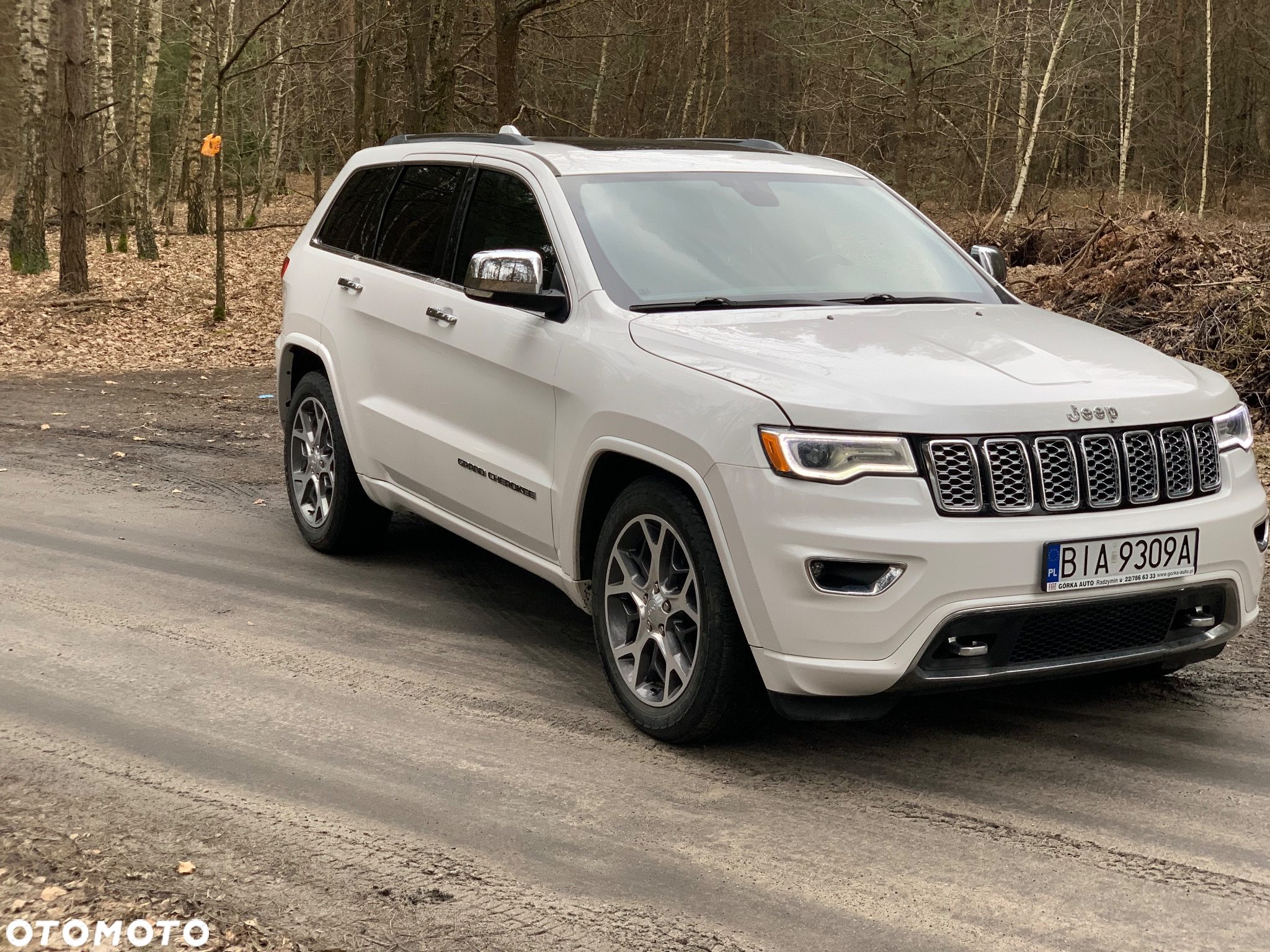 Jeep Grand Cherokee 3.6 V6 Overland - 7